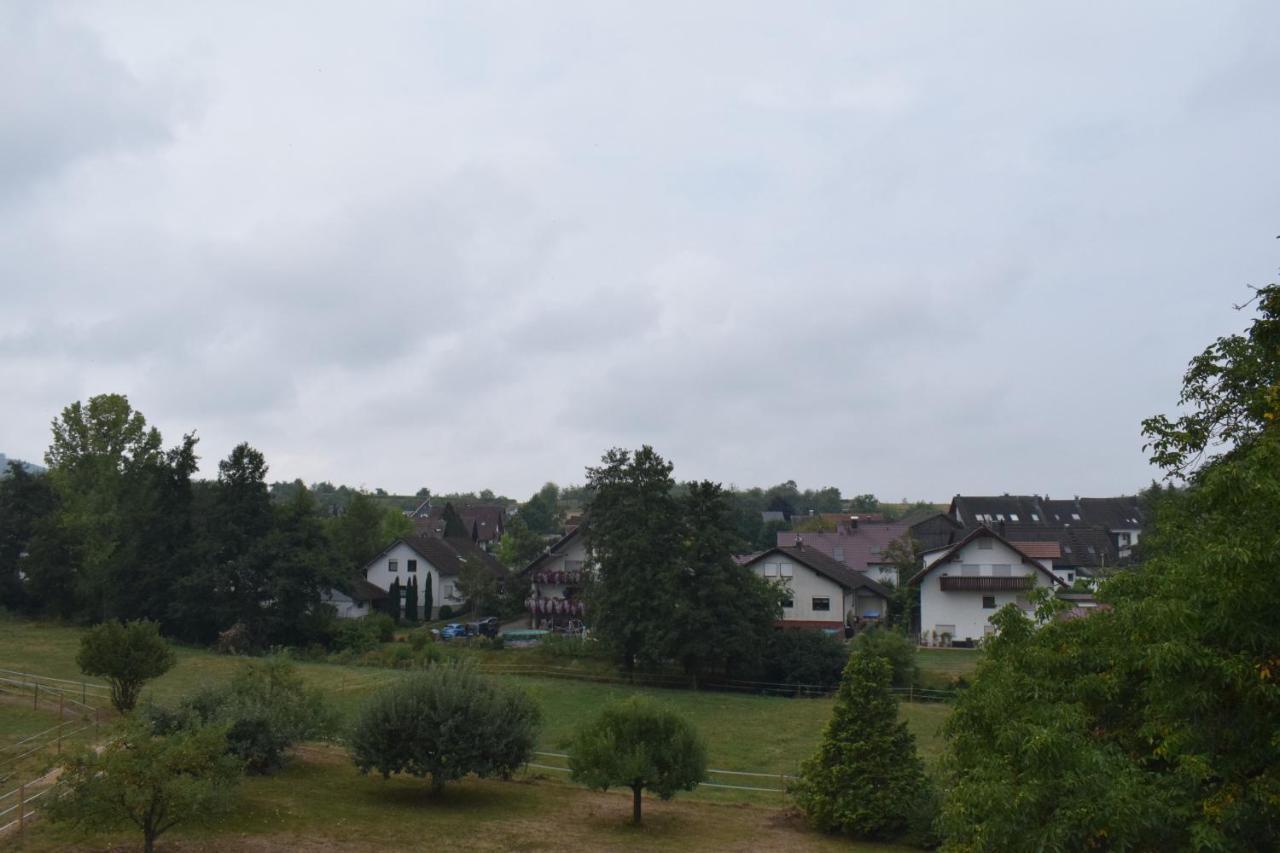 Sauers Schwarzwaldglueck Appenweier Exterior foto