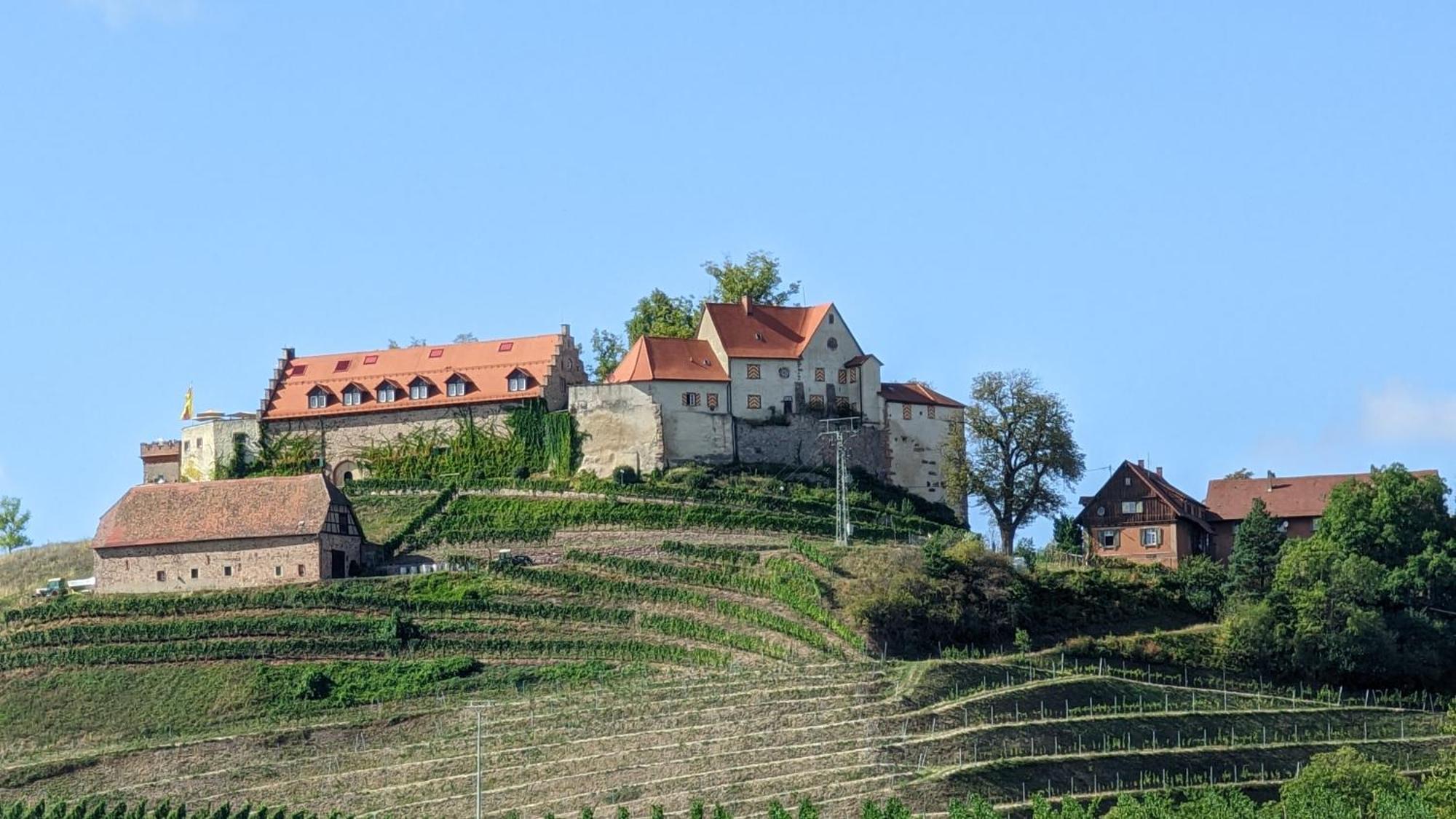 Sauers Schwarzwaldglueck Appenweier Exterior foto